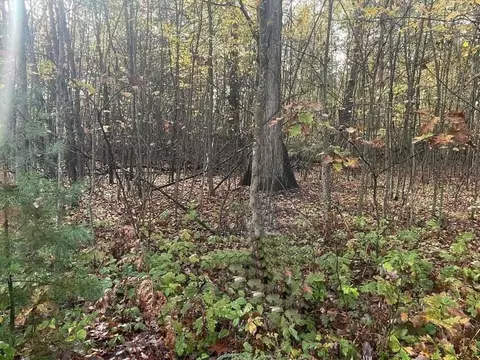 lot29 Hidden Hills Houghton Lake Mi 48629, Houghton Lake, MI 48629