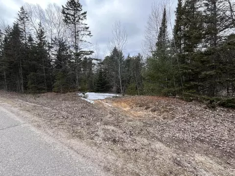 Mackinac Trail, St. Ignace, MI 49781 photo 6