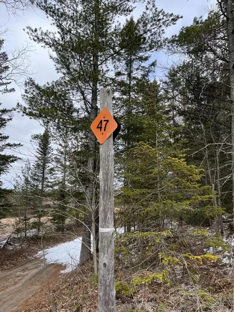 Mackinac Trail, St. Ignace, MI 49781 photo 3