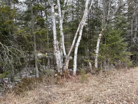 Mackinac Trail, St. Ignace, MI 49781 photo 12