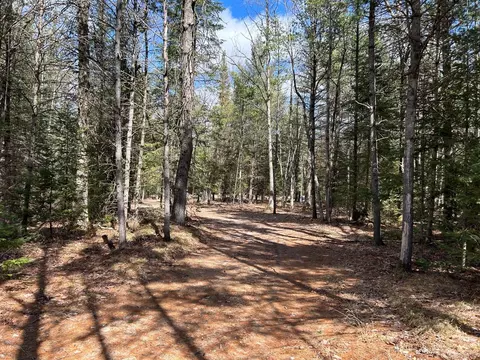 20 Roscommon Road #20 ACRES, Prudenville, MI 48651