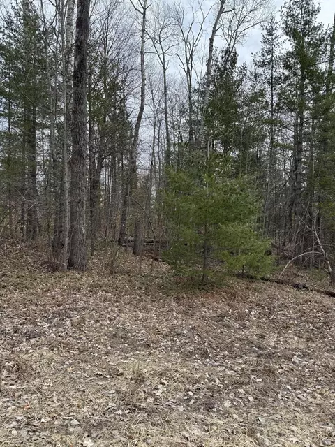 16271 Timber Line Drive Lot Apt 100 Wolverine Mi 49799 Dr #LOT 100, Wolverine, MI 49799