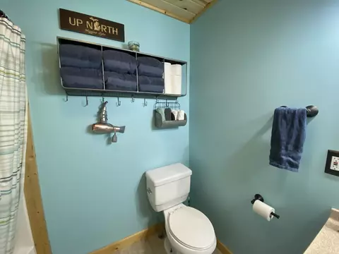 Bath - 219 Pingree St, Roscommon, MI 48653 photo 2 of 5