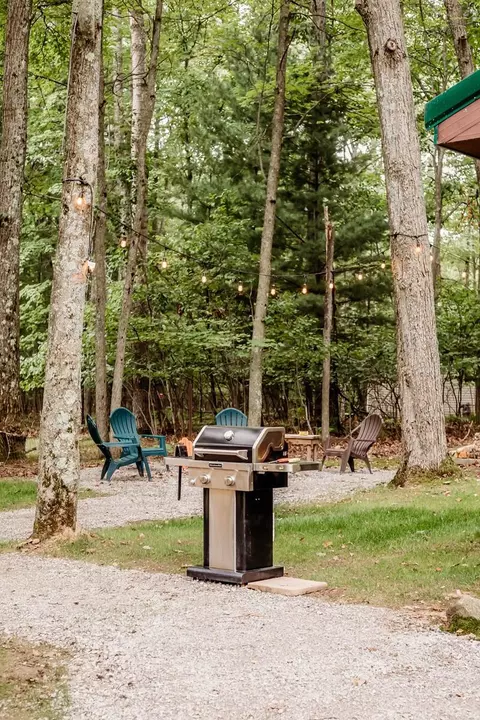 Exterior - 219 Pingree St, Roscommon, MI 48653 photo 9 of 13