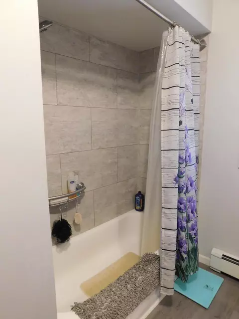 Bath - 249 S Roberts Road Grayling Mi 49738 Rd, Grayling, MI 49738 photo 2 of 5