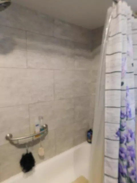 Bath - 249 S Roberts Road Grayling Mi 49738 Rd, Grayling, MI 49738 photo 3 of 5