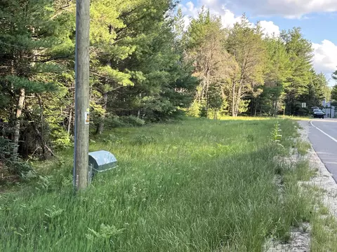 n wakeley bridge road, Grayling, MI 49738 photo 12