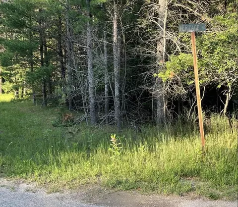 n wakeley bridge road, Grayling, MI 49738 photo 13