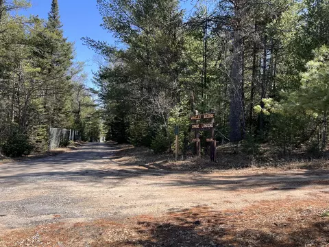 n wakeley bridge road, Grayling, MI 49738 photo 8