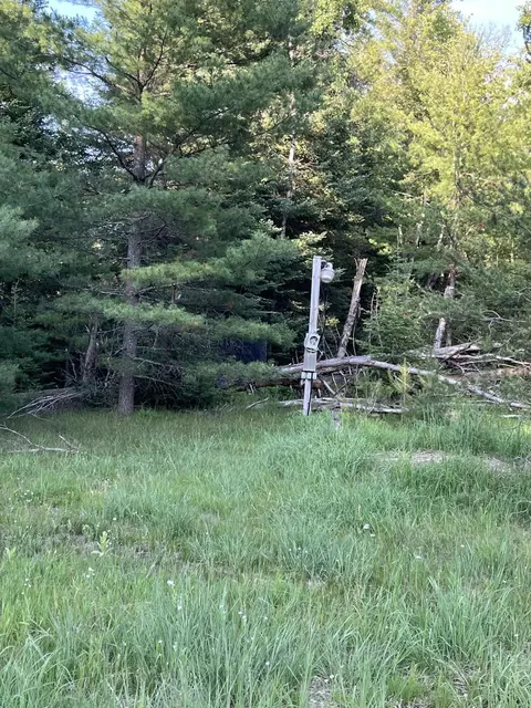 n wakeley bridge road, Grayling, MI 49738 photo 11