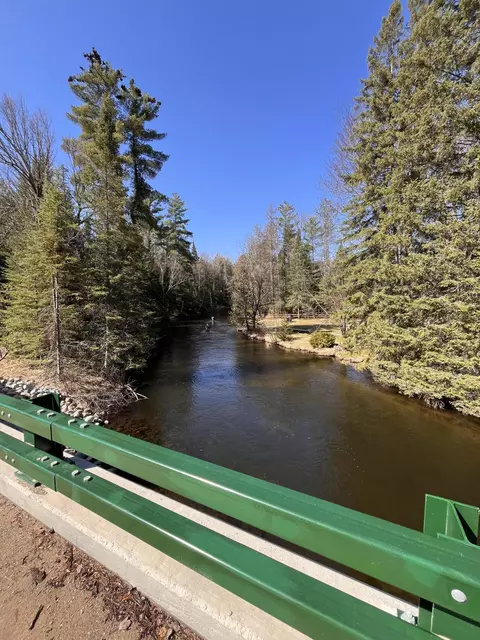 n wakeley bridge road, Grayling, MI 49738 photo 4