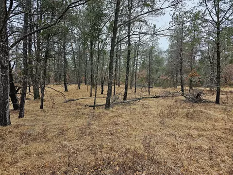 lot107 S Huntinghorn Rd #064-400-000-107-00, Roscommon, MI 48653