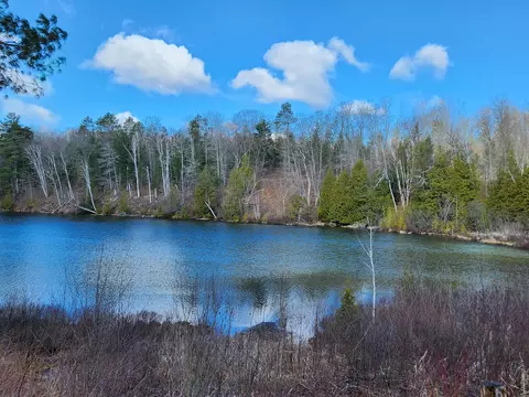 View/Area - 10246 Otter Street Gaylord Mi 49735 St, Gaylord, MI 49735 photo 3 of 3