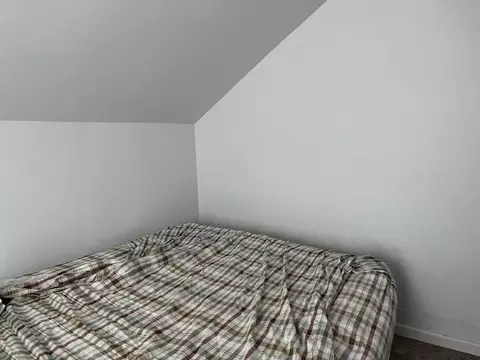 Bedroom - 236 N D St, Cheboygan, MI 49721 photo 3 of 4