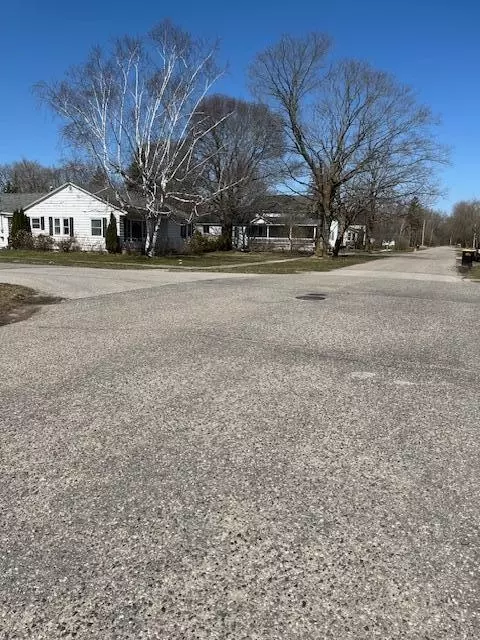 Exterior - 236 N D St, Cheboygan, MI 49721 photo 4 of 6