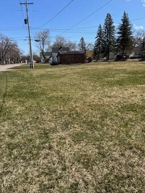 Exterior - 236 N D St, Cheboygan, MI 49721 photo 6 of 6