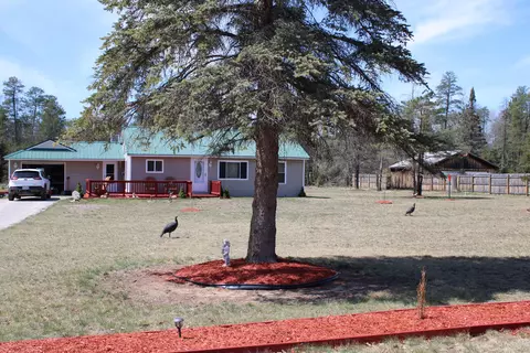 590 E Jackpine Loop, Mio, MI 48647 photo 3