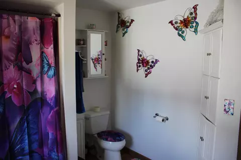 590 E Jackpine Loop, Mio, MI 48647 photo 12