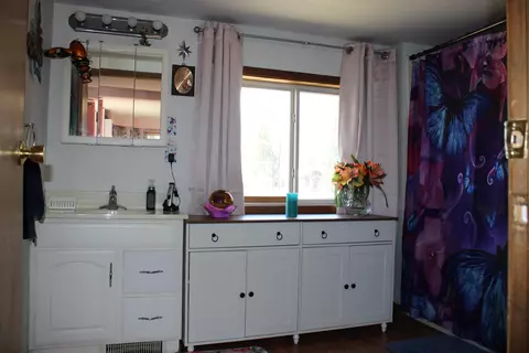 590 E Jackpine Loop, Mio, MI 48647 photo 11