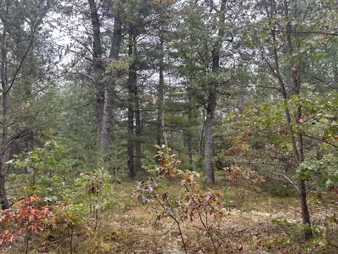 Richardson Trail, West Branch, MI 48661