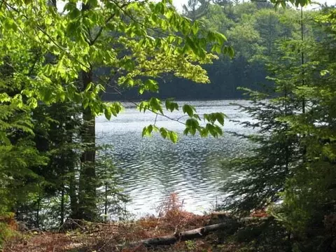 lot8 Lake Bluff Drive Alpena Mi 49707 Dr, Alpena, MI 49707