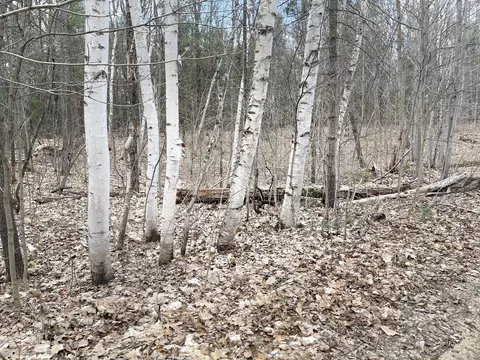Pueblo Trail, Gaylord, MI 49735