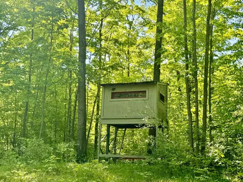 Reeves Road, Curran, MI 48728