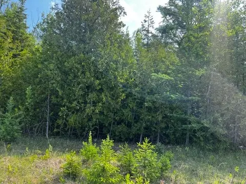 lot14 E Grand Lake Road Presque Isle Mi 49777 Rd, Presque Isle, MI 49777