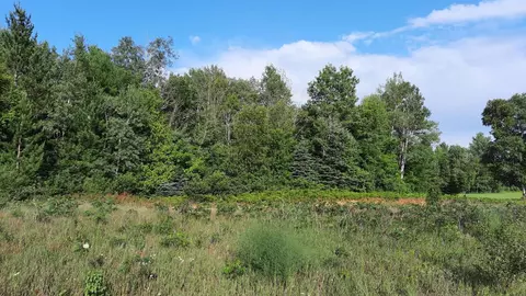 Black Bear Road, Alpena, MI 49707