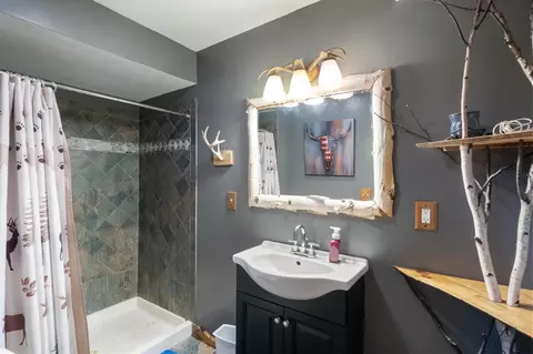 Bath - 14772 Elk Trail Rd, Wolverine, MI 49799 photo 7 of 7