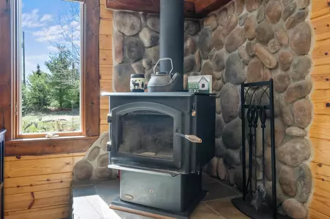 Other - 14772 Elk Trail Rd, Wolverine, MI 49799 photo 1 of 15
