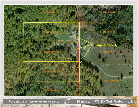 Other - 14772 Elk Trail Rd, Wolverine, MI 49799 photo 13 of 15
