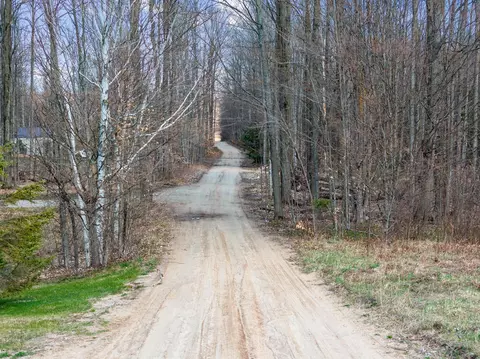 View/Area - 14772 Elk Trail Rd, Wolverine, MI 49799 photo 4 of 5