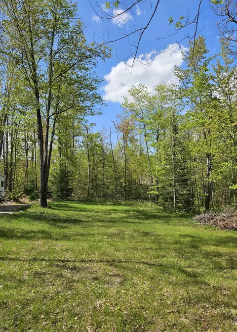3356 Hillwood Rd #LOT 128, Lewiston, MI 49756