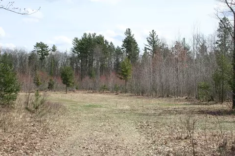 5 Acres Bayer Road Roscommon Mi 48653 Rd, Roscommon, MI 48653 photo 3
