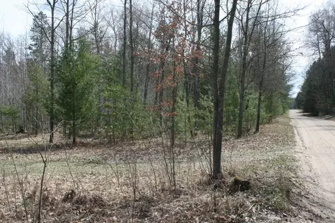 5 Acres Bayer Road Roscommon Mi 48653 Rd, Roscommon, MI 48653 photo 10
