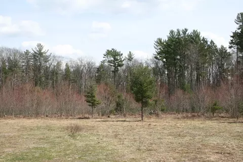 5 Acres Bayer Road Roscommon Mi 48653 Rd, Roscommon, MI 48653 photo 7