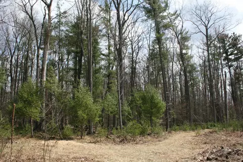 5 Acres Bayer Road Roscommon Mi 48653 Rd, Roscommon, MI 48653