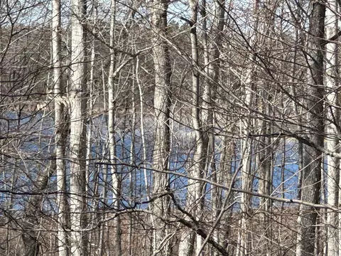 Sugar Ridge Lane, Carp Lake, MI 49718