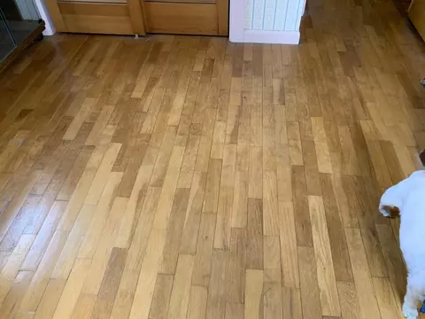 102 E Bingham Street Alpena Mi 49707 St, Alpena, MI 49707 photo 23