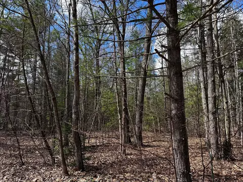 clubhouse trail LOT 24, Gaylord, MI 49735