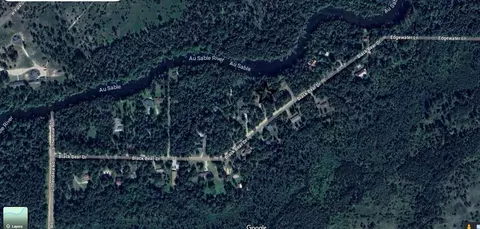 Other - 307 Black Bear Drive Grayling Mi 49738 Dr, Grayling, MI 49738 photo 1 of 10