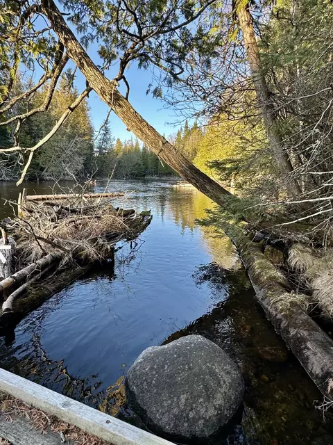 View/Area - 307 Black Bear Drive Grayling Mi 49738 Dr, Grayling, MI 49738 photo 2 of 5