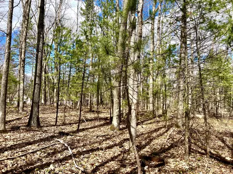 Dick Lots 5, Topinabee, MI 49791