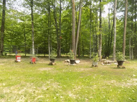 View/Area - 5953 Foxcroft Frederic Mi 49733, Frederic, MI 49733 photo 3 of 3