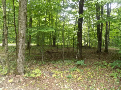 View/Area - 5953 Foxcroft Frederic Mi 49733, Frederic, MI 49733 photo 2 of 3