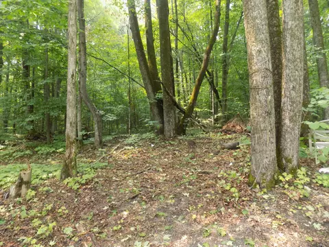 View/Area - 5953 Foxcroft Frederic Mi 49733, Frederic, MI 49733 photo 1 of 3