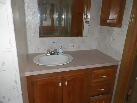15780 Riverside Trl, Wolverine, MI 49799 photo 11