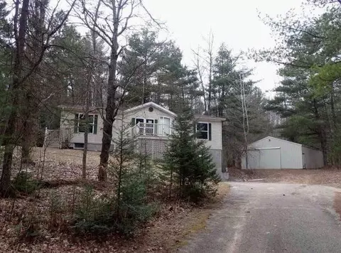 15780 Riverside Trl, Wolverine, MI 49799