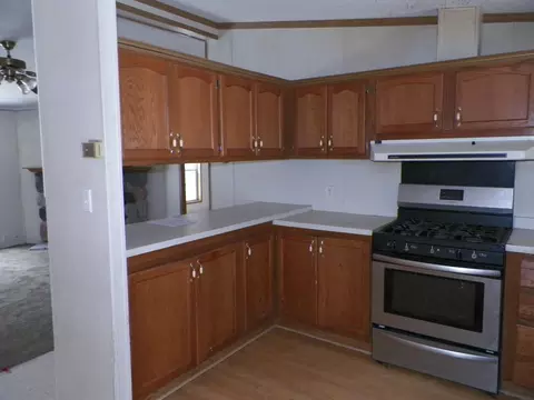 15780 Riverside Trl, Wolverine, MI 49799 photo 8